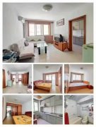 黎明住宅院里1楼81.7平北向客厅 南向两室地下室18.35