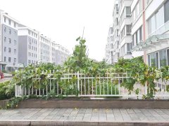 带小院 ！振华旁中都苑 框架 1楼99平 精装