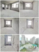 高阳小区8楼 全明户型 2室朝阳带地下室 证件齐全