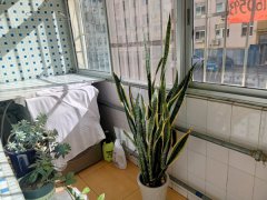 惠丰小区一楼出租