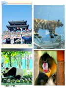 布鲁威斯号轮船、天鹅湖–镇中心吉楼出售