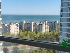 自在澜湾16楼45平一室精装家具家电齐全拎包入住27.8万出