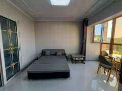 振华万隆国际一室一厅全屋定制精装全新家具家电齐全吉屋首租