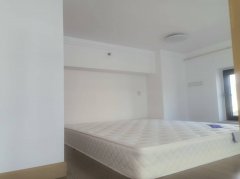 出租华发樱花湖公寓复式900元