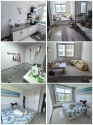 荣成蜊江中小学旁1楼76平3室刚刚装修一年多，保护很不错，