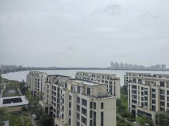 出租市区优质海景房，看湖看海看天鹅，华发樱花湖