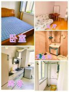 自在香滨8楼62平一室一厅精装南北通透37万诚心出售