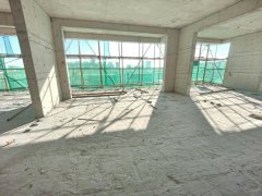 世纪 鑫颐桂园 多层电梯洋房 155-190平大平层
