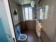奥苑，一楼，91平，精装，带地下室，南客厅，落地窗，55.8