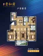 贵和府，10楼，122平，室两厅两卫，电梯洋房，共11层