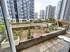 带空中花园19.8万！振华万隆国际 电梯53平 2卧 精装 