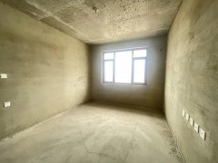 捡！紫御河畔-黎明 电梯111平 带车位和地下室 南厅3室