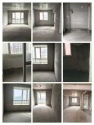 石核馨园电梯4楼 143平，南客厅3室2卫