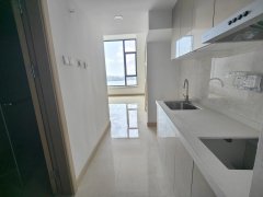 18.5万湖海双景！华发樱花湖电梯 lost复式43平 s