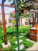 夏庄河边300平大院