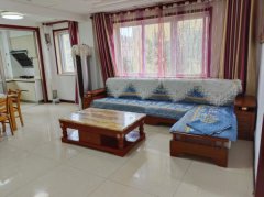 缔景城小区11号301，精装修，家具家电齐全