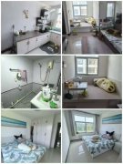 水校家属楼1楼68.16平3室带地下室8平34.8万