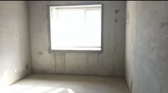 海世界电梯十楼92平两室毛坯现房大产权19.8万急售捡漏