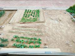 CF润德名园一楼带小院89平毛坯两室仅售50.8万