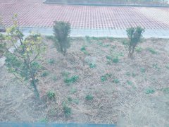 义乌 润德名园1楼89平 带小院！！带地下室 证全 s