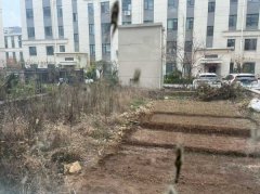 书香世家多层1楼带大院，118平三室两厅两卫