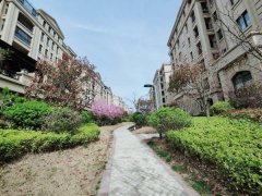 CF玫瑰园小区一楼133.74平带大院带车库三室毛坯房