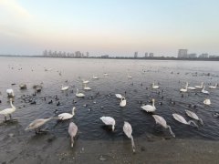 三环南区框架四楼带阁楼209.86平六室两卫精装71.8万出