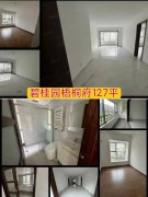 碧桂园梧桐府一楼127平三室两卫精装未住62万诚心出售