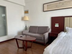 佳华财富公寓 电梯 16楼 50平 精装修 带空调 家具家电