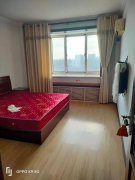 出租得润居电梯128平8楼1300元