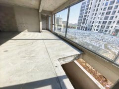 首 例玻璃幕墙窗 社区电梯 鑫颐桂园电梯洋房 有露台 小院