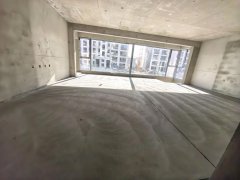 首 例玻璃幕墙窗 社区电梯 鑫颐桂园电梯洋房 有露台 小院