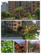 186万金帝桂都一楼带院150平三室两卫精装带车位186万！