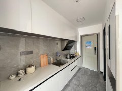 出租！新天地对面电梯公寓LOFT精装两室