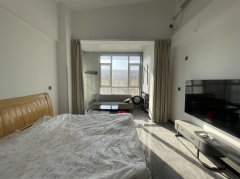 出租！新天地对面电梯公寓LOFT精装两室