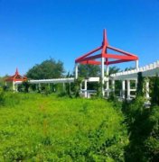 龙江教授村 一层有院 85平 精装捡16.5万 南厅 证全